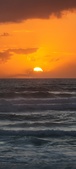 Enlarge photo 624