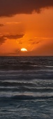 Enlarge photo 625