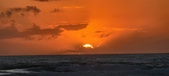 Enlarge photo 628