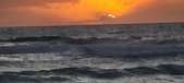 Enlarge photo 634