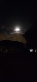 Enlarge photo 635