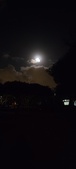 Enlarge photo 636