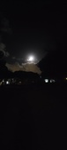 Enlarge photo 638