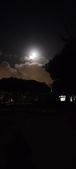 Enlarge photo 639