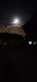 Enlarge photo 640