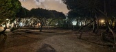 Enlarge photo 642