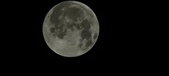 Enlarge photo 647