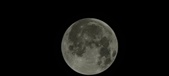 Enlarge photo 649