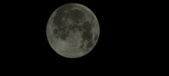 Enlarge photo 650