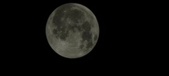 Enlarge photo 651