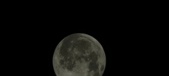 Enlarge photo 652