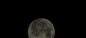 Enlarge photo 653