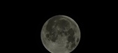 Enlarge photo 654