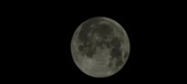 Enlarge photo 655