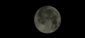 Enlarge photo 656
