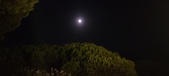 Enlarge photo 657
