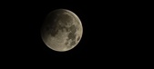 Enlarge photo 658