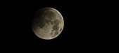 Enlarge photo 659