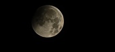 Enlarge photo 660
