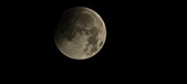 Enlarge photo 661
