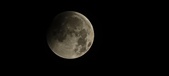 Enlarge photo 662