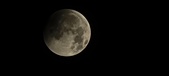 Enlarge photo 663