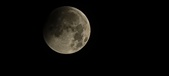 Enlarge photo 664