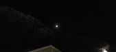 Enlarge photo 665