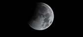Enlarge photo 669