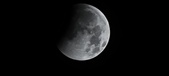 Enlarge photo 670