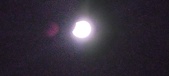 Enlarge photo 677
