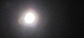 Enlarge photo 678