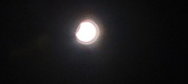 Enlarge photo 679