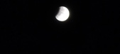 Enlarge photo 684