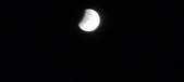 Enlarge photo 685