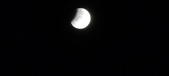 Enlarge photo 686