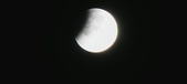 Enlarge photo 687