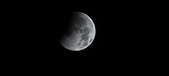 Enlarge photo 688