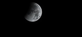 Enlarge photo 689