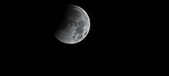 Enlarge photo 691
