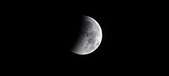 Enlarge photo 694