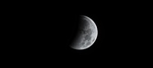 Enlarge photo 695