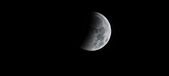 Enlarge photo 696