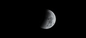 Enlarge photo 697