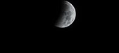 Enlarge photo 698