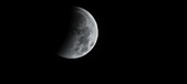 Enlarge photo 701