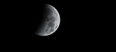 Enlarge photo 702