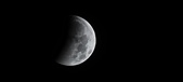 Enlarge photo 703