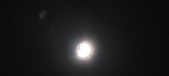 Enlarge photo 705