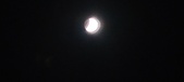 Enlarge photo 707